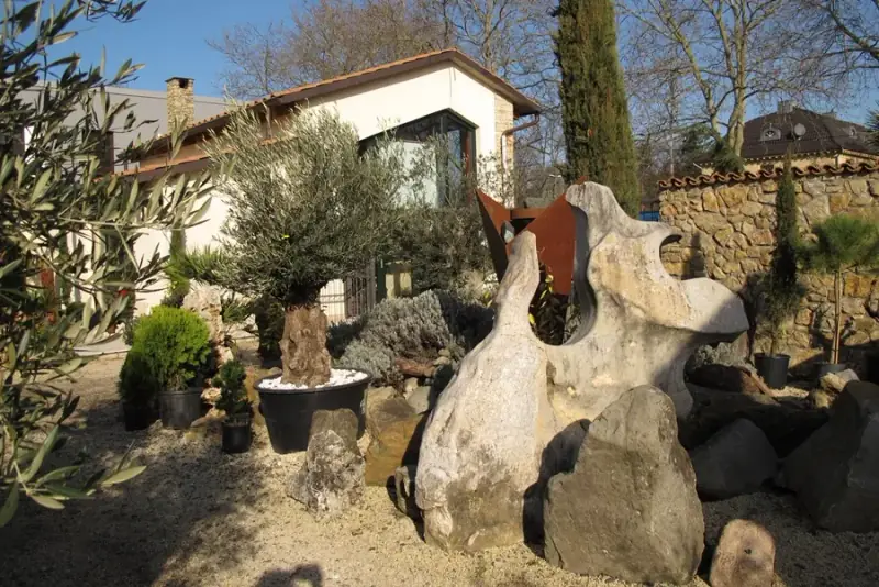 Felsen und mediterrane Pflanzen im Freigelände der Ausstellung