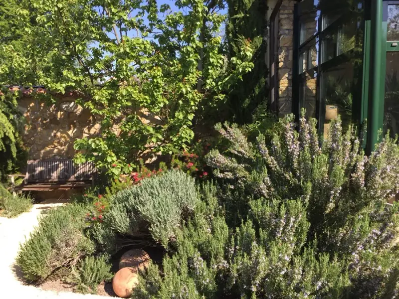 Rosmarin und Lavendel im Sortiment von LA CAVA